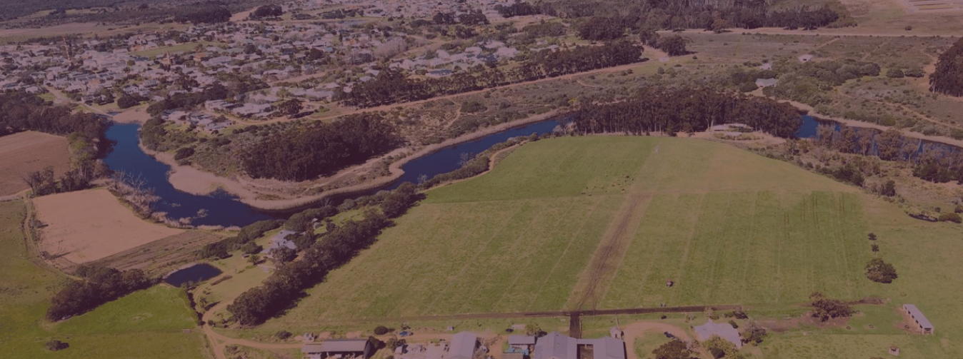 Surrounding Area Stanford Hills Estate