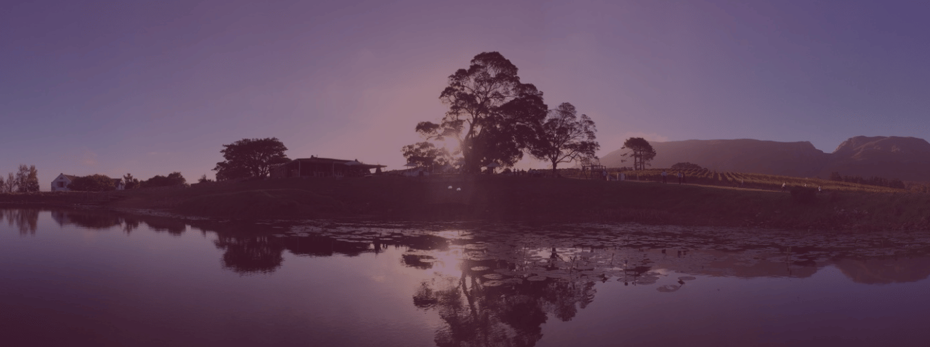 About Stanford Hills Estate