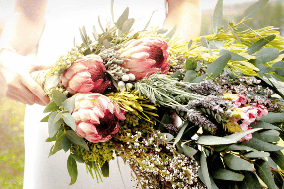 Indigenous South African Flowers at Stanford Hills Estate