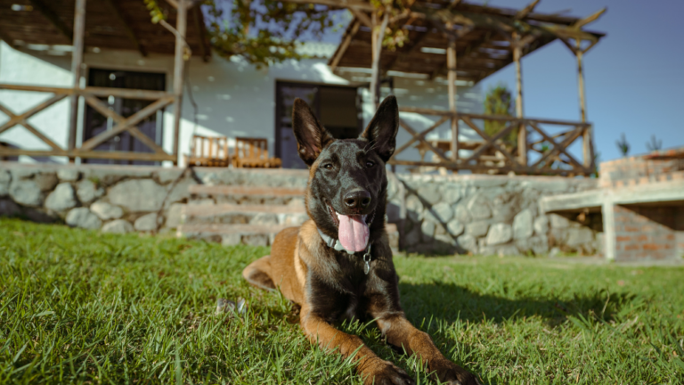 Stanford Hills Pet-Friendly Accommodation in Stanford
