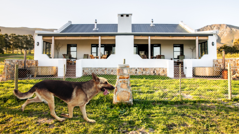 Dog-Friendly Self-Catering Holidays at Stanford Hills Estate