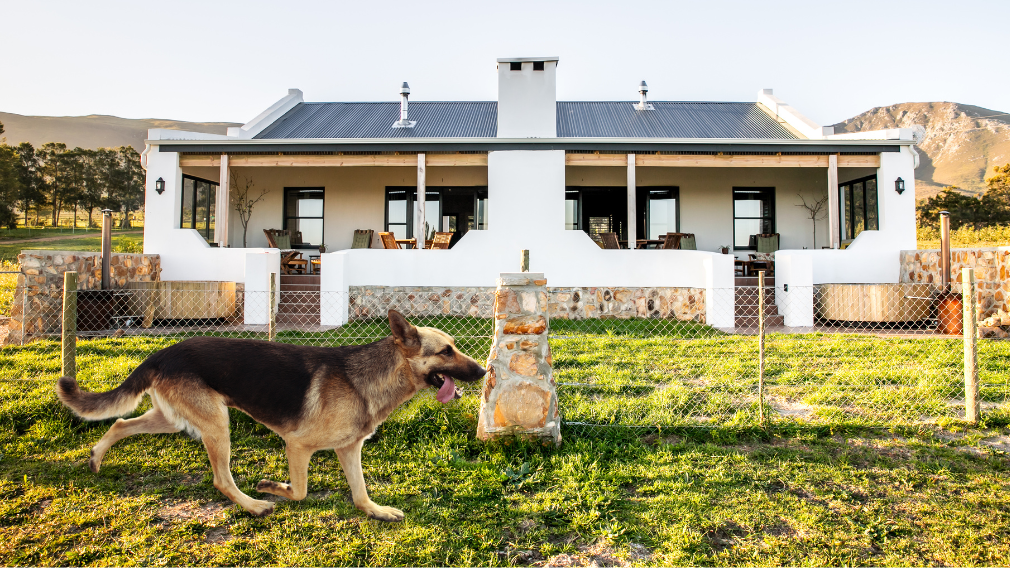 Dog-Friendly Self-Catering Holidays at Stanford Hills Estate