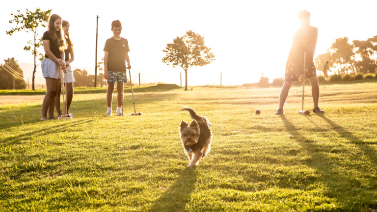 Stanford Hills Estate Pet-Friendly Accommodation Stanford