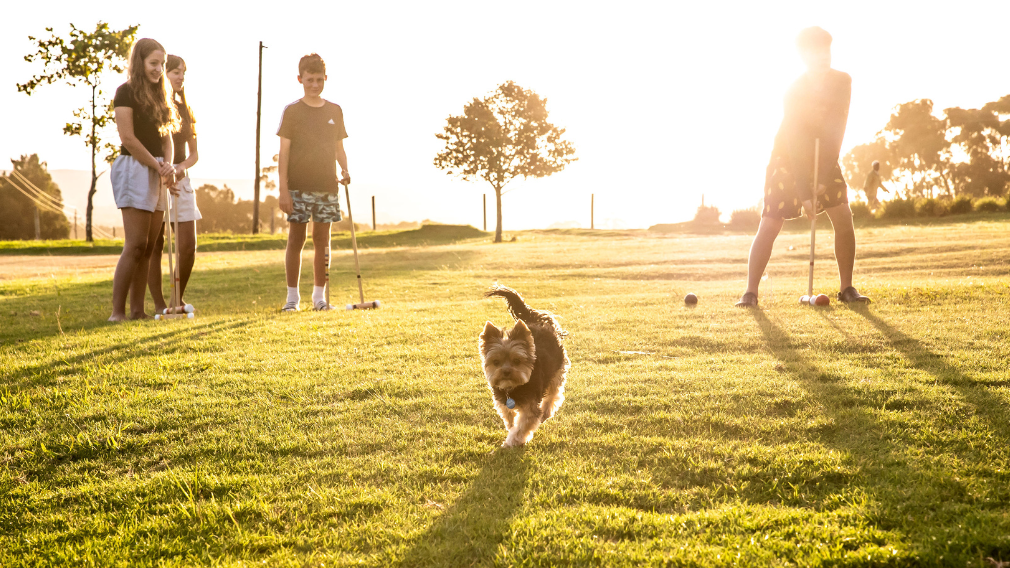 Stanford Hills Estate Pet-Friendly Accommodation Stanford