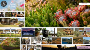 Stanford Hills Estate Stanford in Bloom 2026 Accommodation