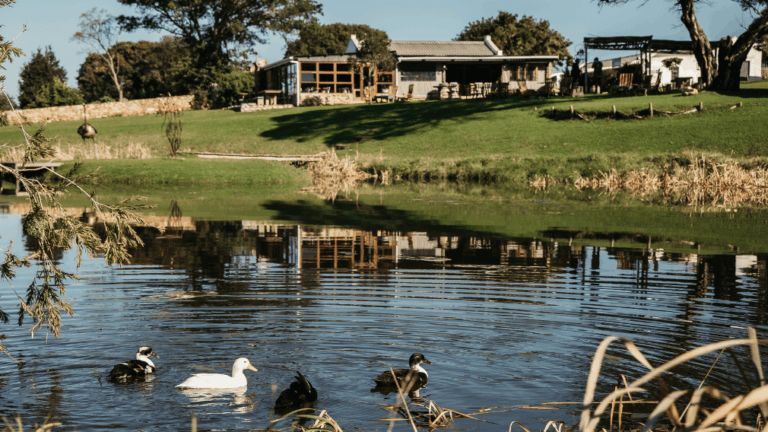 Stanford Hills Estate Accommodation near Hermanus