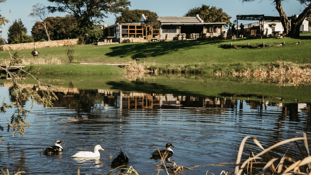 Stanford Hills Estate Accommodation near Hermanus